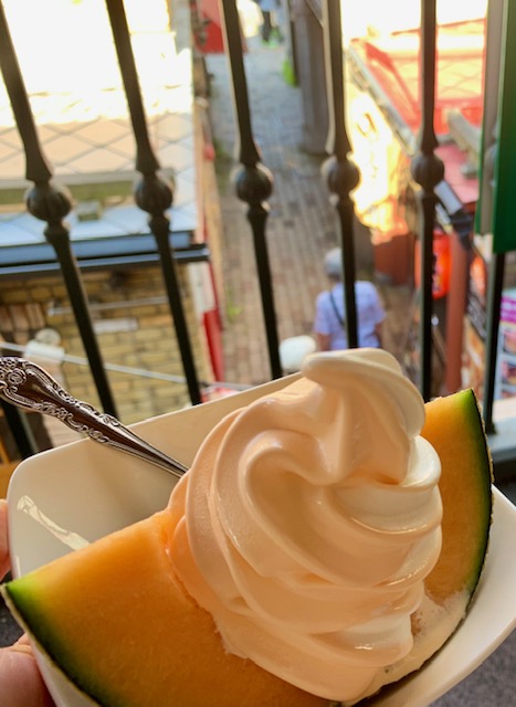 f:id:pochi-2n2n:20200730193820j:plain