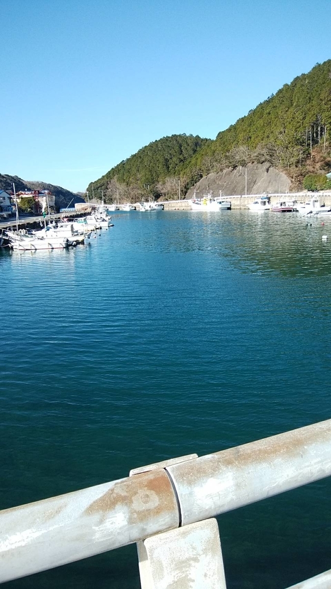 KOCHIさん専用ページ MT-OSAKAZAKURA'25/E | Deviser ｜株式会社ディバイザー｜長野県