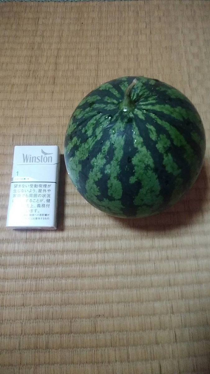 スイカ収穫 Pochiの日記