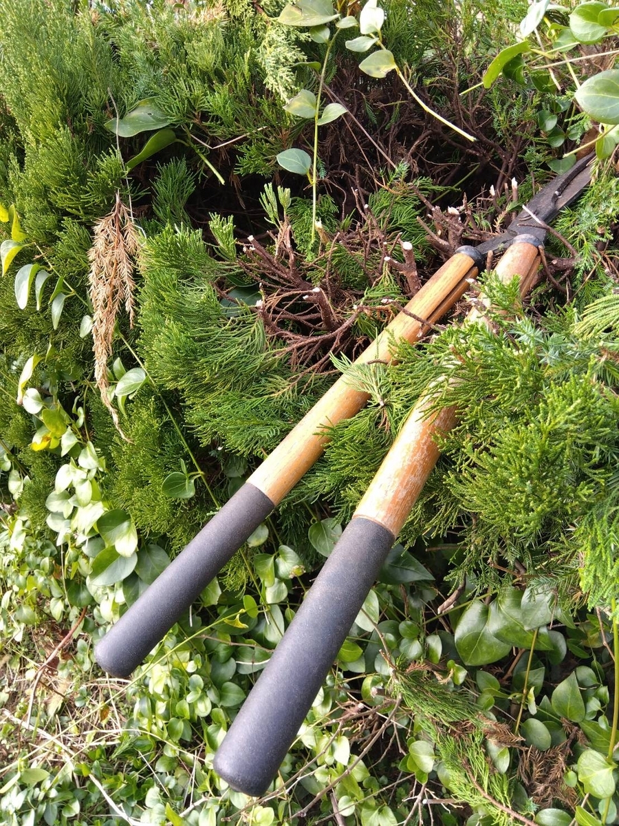 7MHz用2エレデルタループアンテナの実験 - POCHIの日記