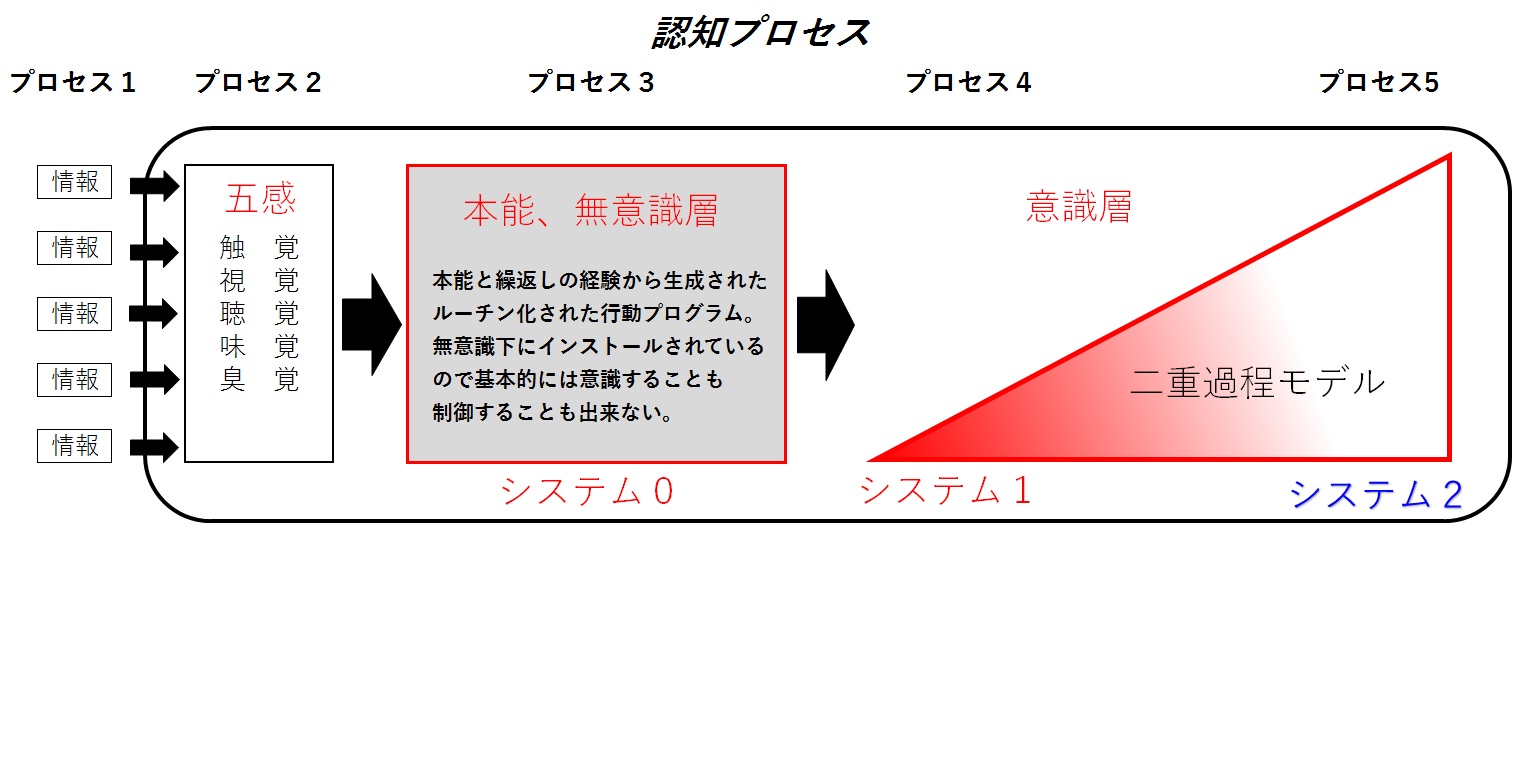 認知科学のモデルの一部 追加 蟻の社会科学