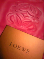 f:id:pochi0812:20090614230110j:image:left