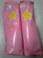 f:id:pochi0812:20090628233343j:image:right