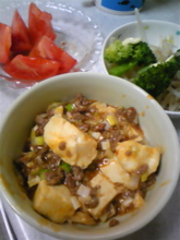 f:id:pochi0812:20091118212044j:image:right