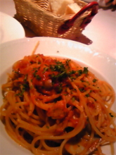 f:id:pochi0812:20091218131451j:image