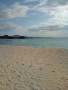 f:id:pochi0812:20100708151746j:image