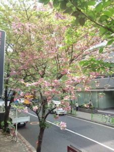 f:id:pochi0812:20110420121341j:image