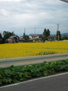 f:id:pochi0812:20110903144028j:image:left