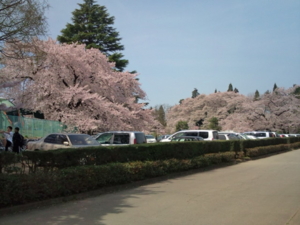 f:id:pochi0812:20120429092823j:image