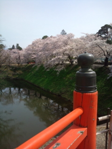 f:id:pochi0812:20120429093523j:image