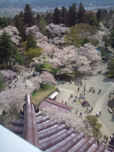 f:id:pochi0812:20120429095008j:image