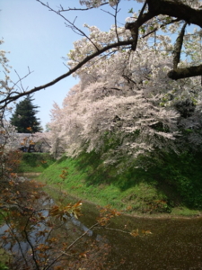 f:id:pochi0812:20120429102151j:image