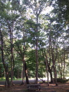 f:id:pochi0812:20120731161141j:image