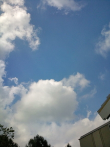 f:id:pochi0812:20120826131756j:image:left