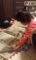 新聞好き