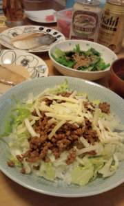 f:id:pochi0812:20130105194707j:image:left