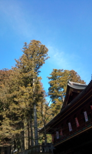 f:id:pochi0812:20130106112208j:image
