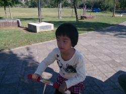 f:id:pochi0812:20131013135422j:image:left