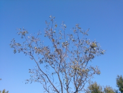 f:id:pochi0812:20131013135526j:image:left