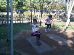 f:id:pochi0812:20131013141347j:image:left