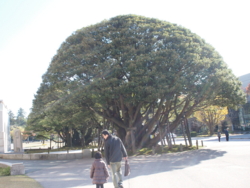 f:id:pochi0812:20131117103444j:image