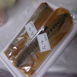 f:id:pochi0812:20131205131351j:image:left