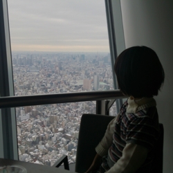 f:id:pochi0812:20140211210524j:image