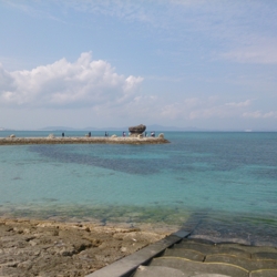 f:id:pochi0812:20140327171955j:image f:id:pochi0812:20140327171955j:image