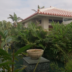 f:id:pochi0812:20140328184625j:image:left