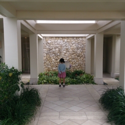 f:id:pochi0812:20140328184726j:image