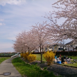 f:id:pochi0812:20140407121644j:image