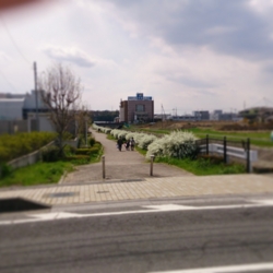 f:id:pochi0812:20140407122246j:image:left