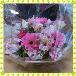 f:id:pochi0812:20140407122448j:image:left