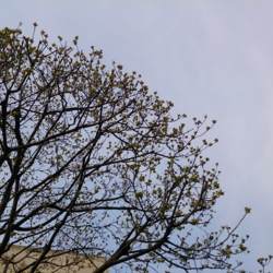 f:id:pochi0812:20140414093158j:image