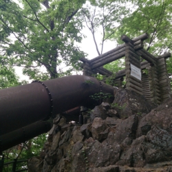 f:id:pochi0812:20140508075201j:image:left