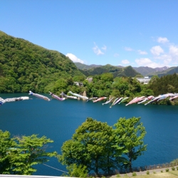 f:id:pochi0812:20140520173437j:image:left