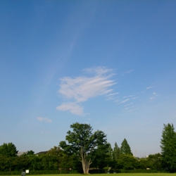 f:id:pochi0812:20140616093738j:image