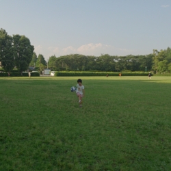 f:id:pochi0812:20140616093745j:image