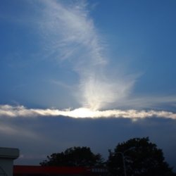 f:id:pochi0812:20140807160928j:image:left