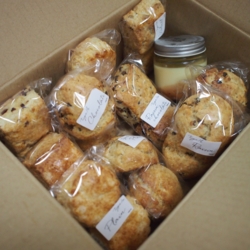 f:id:pochi0812:20140925134319j:image:left f:id:pochi0812:20140925134319j:image:left