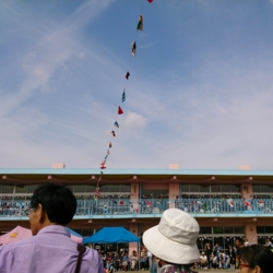 f:id:pochi0812:20141006171742j:image:left f:id:pochi0812:20141006171742j:image:left