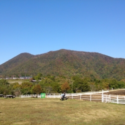 f:id:pochi0812:20141014103853j:image:left