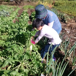 f:id:pochi0812:20141104160221j:image