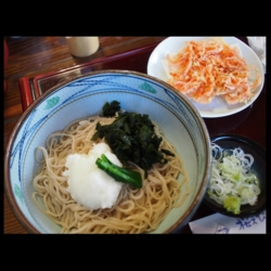 f:id:pochi0812:20141222133429j:image:left