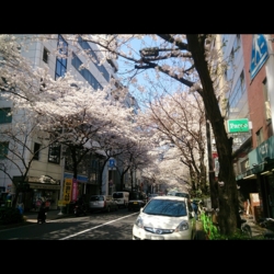 f:id:pochi0812:20150331091244j:image