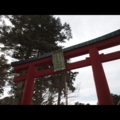 3/28　塩釜神社