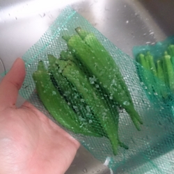 f:id:pochi0812:20150610171013j:image