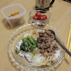 f:id:pochi0812:20150620101234j:image:left