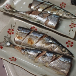 f:id:pochi0812:20150914090326j:image:left