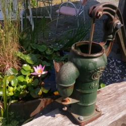 f:id:pochi0812:20150923155521j:image:left